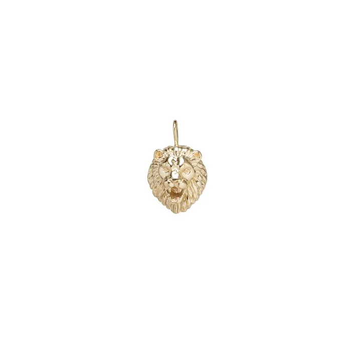 14k Single Lion Head Charm