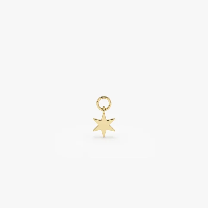 14k Solid Star Hoop Charm