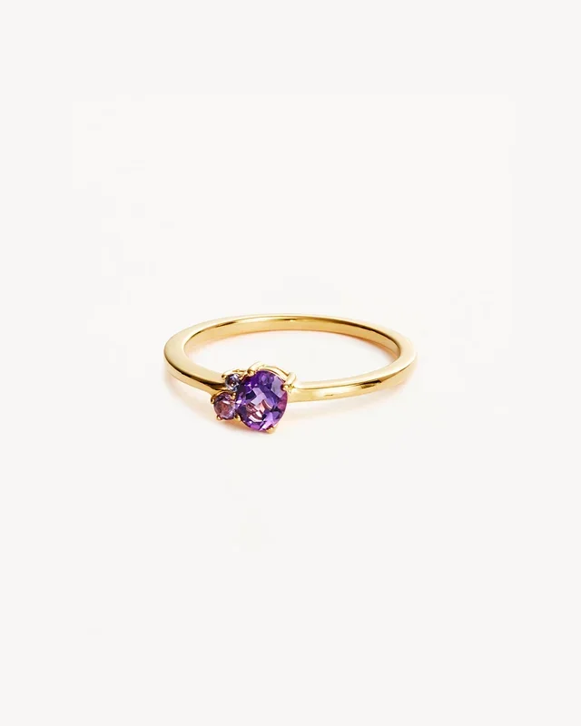 18k Gold Vermeil Kindred Birthstone Ring – February