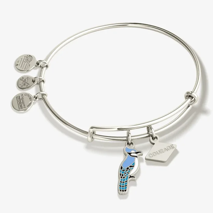 ‘Courage’ Blue Jay Duo Charm Bangle Bracelet