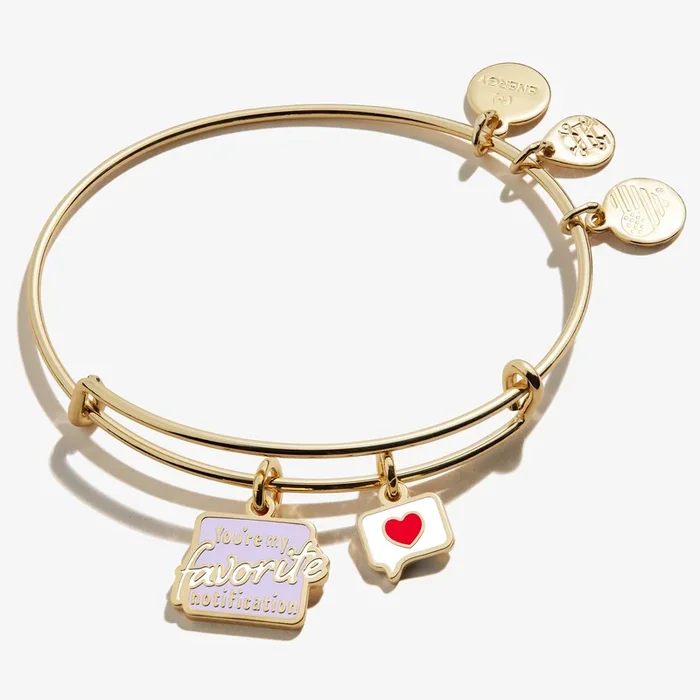‘You’re My Favorite Notification’ Duo Charm Bangle Bracelet