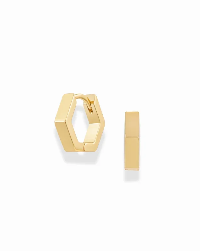 Ari Hoops
