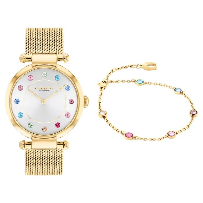 Coach Rainbow with 34MM Silvertone Round Dial Stainless Steel Watch Band. Cary Set 14000112
