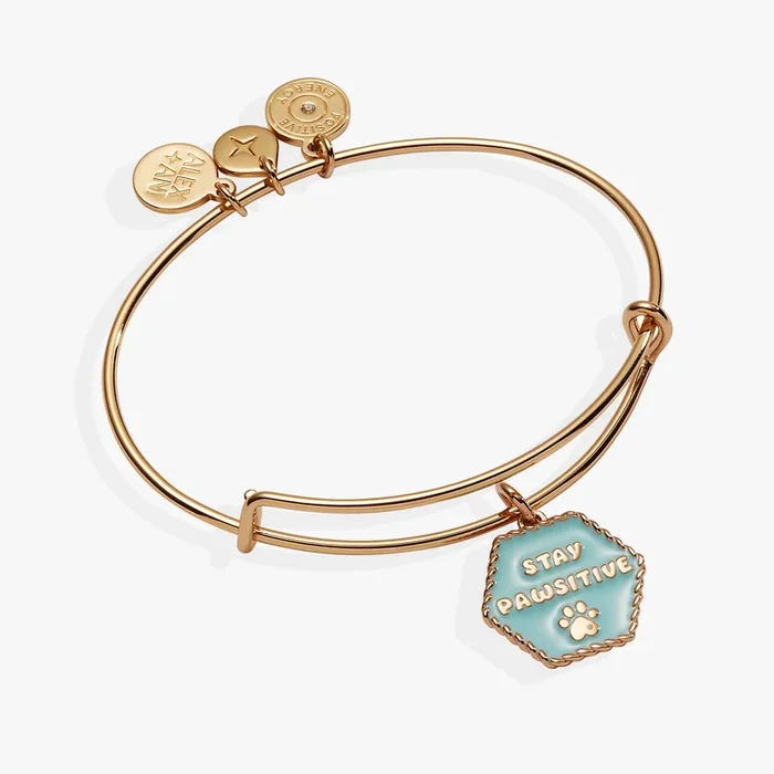 Dog ‘Stay Pawsitive’ Bangle