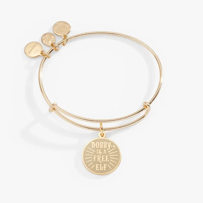 Harry Potter™ ‘Dobby is a Free Elf’ Charm Bangle Bracelet