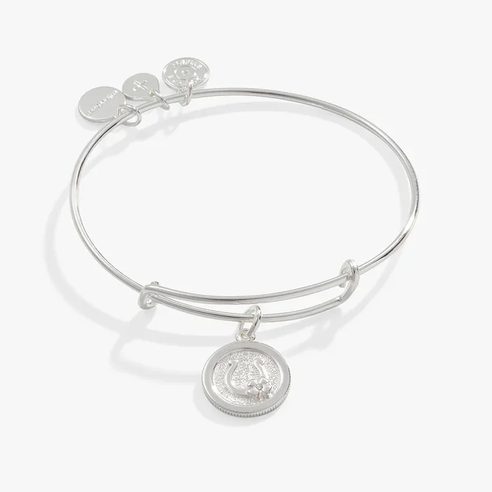 Horseshoe + Clover Charm Bangle Bracelet