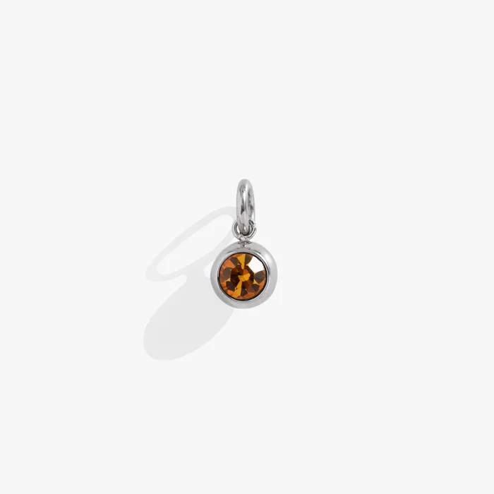 November Birthstone Interchangeable Charm