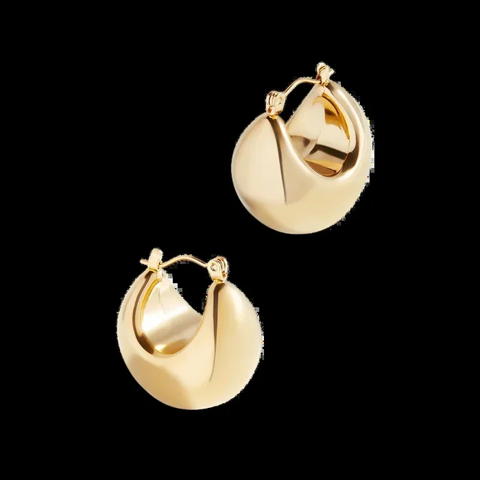 Sculpted Hoop Earrings