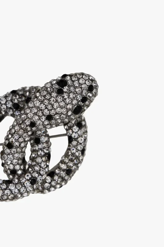 Silver snake Shaped Brooch