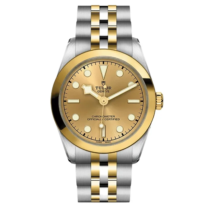 Tudor Black Bay 31 COSC S&G auto 31 mm Watch M79603-0005 – Lepage