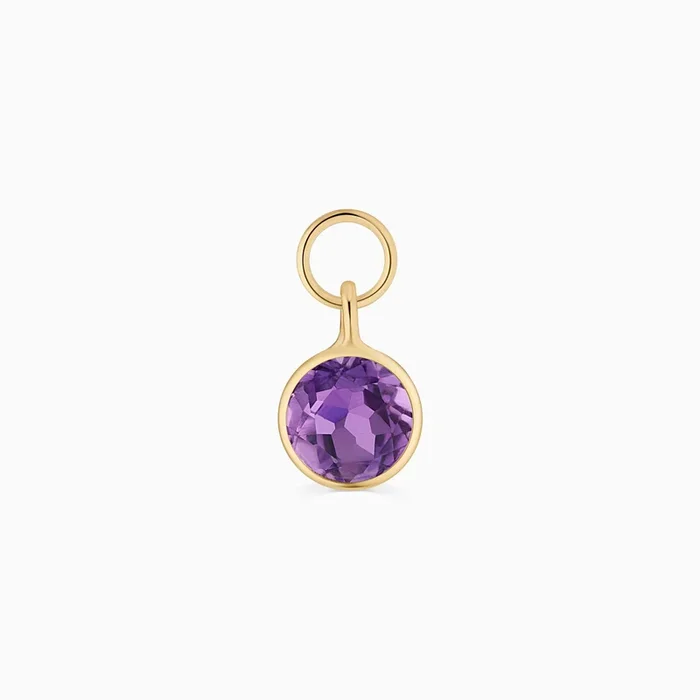 Vivid Single Hoop Charm